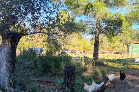 Landejendom i Ginestar, Tarragona, Ginestar - € 185.000 | Ref: CC824 - foto 28